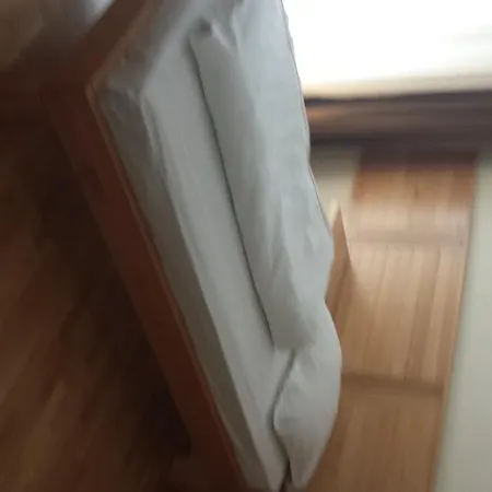 Borici